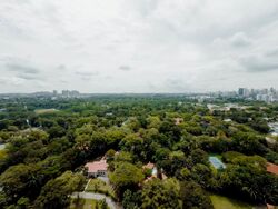 Blk 96 Skyparc @ Dawson (Queenstown), HDB 4 Rooms #559090651